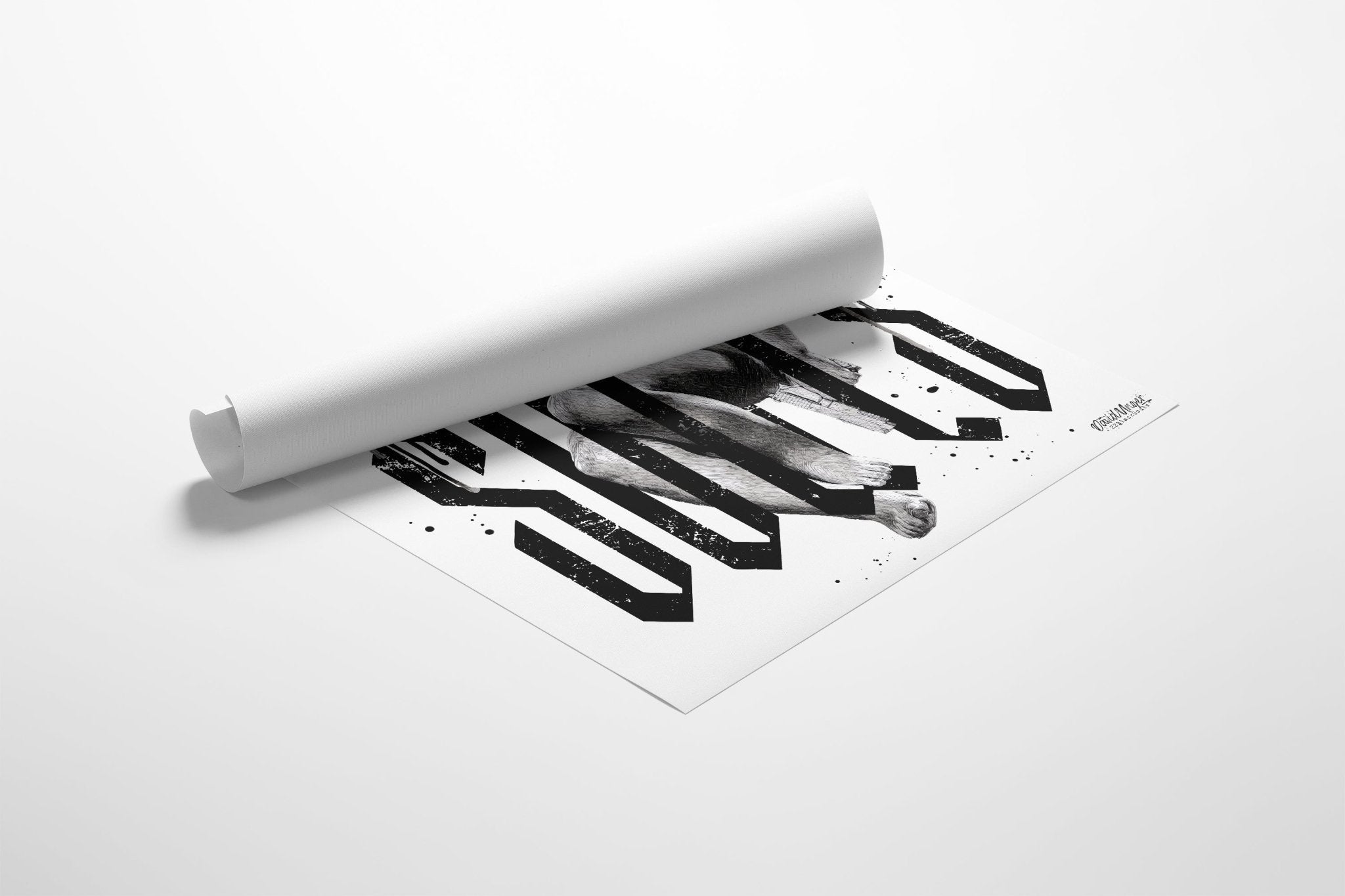 ANGEL CANVAS - WhisperStorm